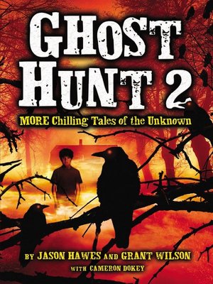 cover image of Ghost Hunt 2